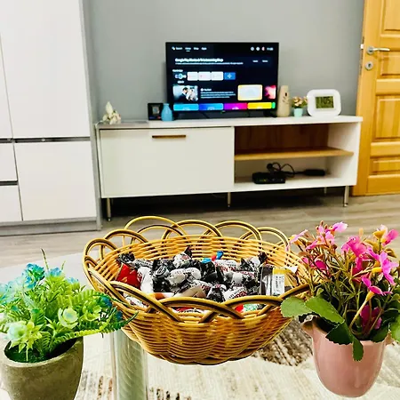 T&n Studio-center-free Parking,ac,train-bus Station Lejlighed Sarajevo