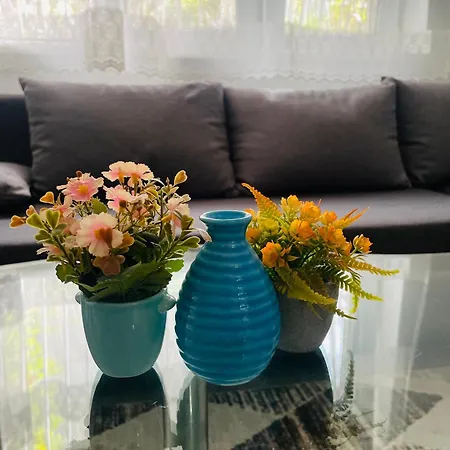 Διαμέρισμα T&n Studio-center-free Parking,ac,train-bus Station Σαράγεβο