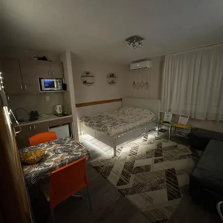 T&n Studio-center-free Parking,ac,train-bus Station Saraievo